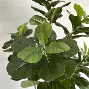 <b>Artificial</b> Multi-Trunk Ficus <b>Tree</b> – Realistic Indoor Decorative Plant 120/150/180 cm - Product Image 2