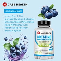 Fabricant de compléments alimentaires sur mesure, capsules de créatine, compléments alimentaires pour la musculation des adultes, prévention de la perte musculaire, capsules OEM