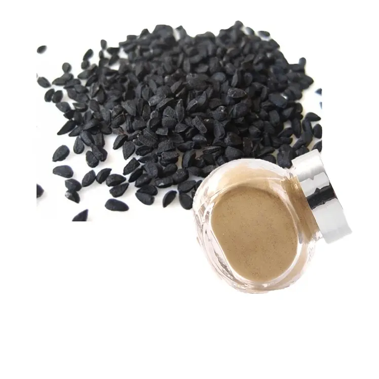 Hot Selling Nigella Sativa Black Cumin Seed Extract Powder Black Seed Powder For Sale Buy Online From India