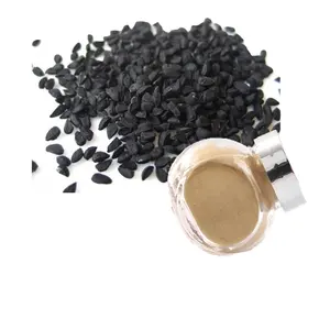 Nigella Sativa-Polvo de extracto de semilla de comino negro, polvo de Semilla Negra, compra en línea de la India