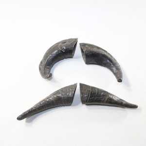 Nourriture pour animaux de compagnie haut de gamme la plus vendue en Inde, friandises pour chiens en corne de buffle naturelle, fabriquées à la main, respectueuses de l'environnement, produit très vendu - Product Image 1