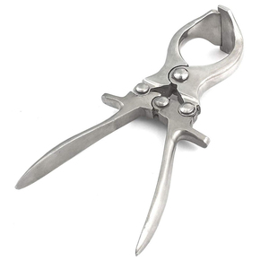 เครื่องทำฟันแบบไม่มีเลือดอุปกรณ์สัตวแพทย์สำหรับวัวและสัตว์ใหญ่ด้ามไม้ - Product Image 5