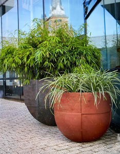 Mua sắm Plaza chậu hoa lớn, Vòng fiberclay <span class=keywords><strong>planter</strong></span> cho trang trí ngoài trời - Product Image 2