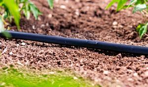 NANO LIN 16 MM 0.6 LPH 6 MIL 0.15 MM DRIP LATERALS SPACING 30 CM - Product Image 3