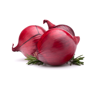 Oignon frais biologique non pelé d'Autriche, taille 20 cm, disponible pour la vente en gros, prix avantageux, assurance qualité pour le commerce de transformation alimentaire - Product Image 4