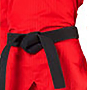 Nouvel uniforme de karaté de qualité professionnelle pour hommes et vêtements de sport Arts martiaux et tenue décontractée Costume de karaté - Product Image 3