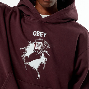 Sweat à capuche surdimensionné pour hommes double épaisseur 100% coton sweat-shirt en molleton avec logo personnalisé pull uni à fermeture éclair vente en gros - Product Image 2