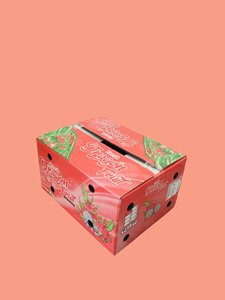 Cajas de papel rectangulares corrugadas plegables OEM con tratamiento UV para el envío de la agricultura-Materiales reciclados de embalaje de fruta de dragón - Product Image 5