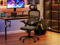 Vente en gros de meubles de bureau Sihoo M102C chaise d'étude chaises d'ordinateur à domicile 3D accoudoir réglable Silla Ergonmicas chaise à dossier haut