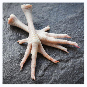 Patas y Pechugas de Pollo Congeladas, Halal, a los Mejores Precios con Envío Rápido a Todo el Mundo - Product Image 6