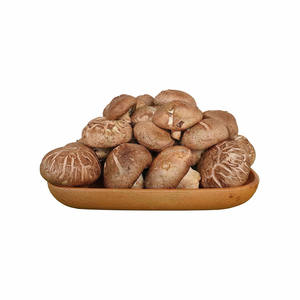 CHAMPIGNON SHITAKE SEC TIGE CHAMPIGNONS SHITAKE PIEDS EN GROS PRIX BON MARCHÉ - Product Image 1