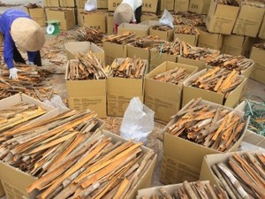 เครื่องเทศแบบแยกต้นขี้เหล็กจากเวียดนาม - Product Image 6