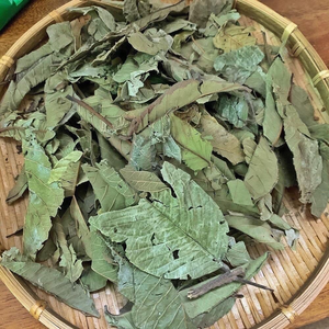 FEUILLES DE GOYAVE SÉCHÉES EMBALLÉES DE DÉLICIEUX ET DE NUTRIMENTS/QUALITÉ/GRANDE VALEUR/RÉCOLTÉES AU VIETNAM - Product Image 6