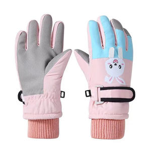 Fournisseur direct d'usine, gants de ski et de snowboard pour hommes de qualité professionnelle, imperméables, isolés en polyester - Product Image 2