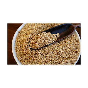 Graines de sésame noir biologiques de qualité supérieure Origine Pays-Bas Durée de conservation de 24 mois pour une utilisation culinaire et cosmétique haut de gamme - Product Image 6