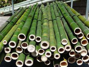 Fabrication au Vietnam d'un poteau en bambou avec taille personnalisée/100% tubes de poteau en bambou naturel en vrac - Product Image 4