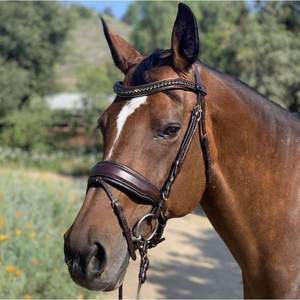 Brida para Caballo SidePull de Cuero Genuino - Tamaño y Logotipo Personalizables, Diseños Personalizados - Product Image 5
