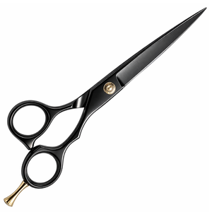 Ciseaux de coiffure professionnels 6,5 pouces en acier inoxydable noir, ciseaux de barbier de précision, outil de salon OEM - Product Image 1