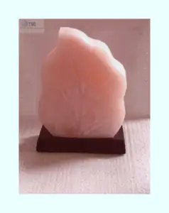 Butiful Shape and Accurate Size of 100% Crystal Leaf Salt Lamps With Wood Base Available at Wholesale Prices Direct From Factory