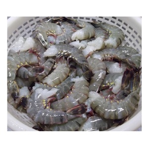 Camarones Tigre Congelados HLSO - Proveedor Mayorista de Camarones Tigre HLSO al por Mayor - Product Image 4