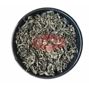 Té Verde Camellia sinensis Antioxidante - Product Image 1