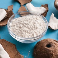 Meilleure vente de poudre de noix de coco saine farine de coco prix bon marché pour la fabrication de boissons d'eau de lait de noix de coco du Vietnam