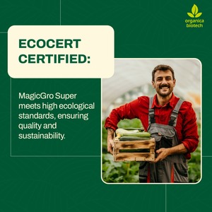 เร่งการเจริญเติบโตขององุ่นด้วยเมจิกโกร ซุปเปอร์ - Product Image 4