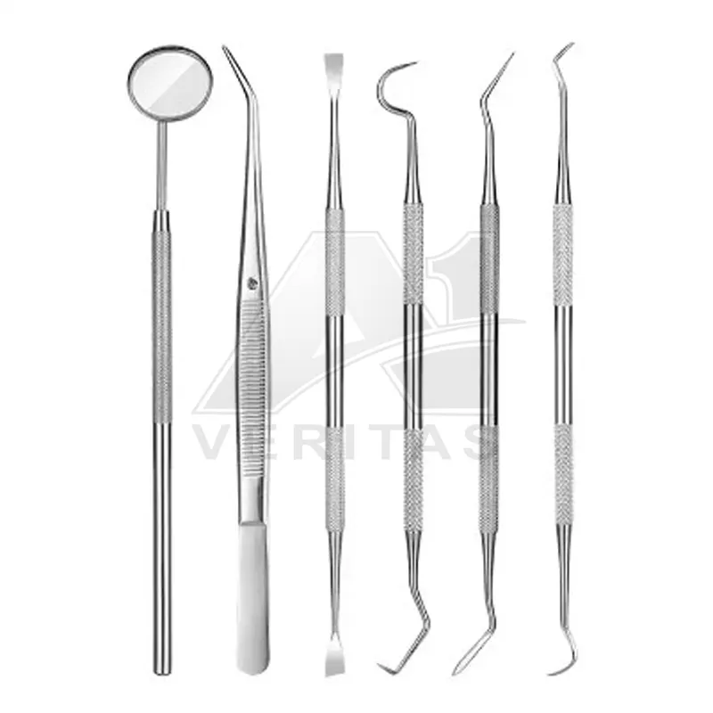 Best Quality 6Pcs Dental Examination Sets Oral-Care Sickle Scaler Probes mirrors A-1 VERITAS Dental Surgical Instruments