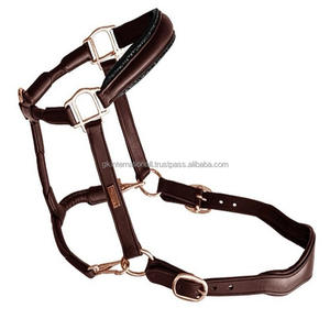 Personalized <b>Name</b> <b>Plate</b> Anatomically Designed Havana Brown Padded Leather <b>Horse</b> Halter with Solid Brass Buckle and Rings - Product Image 5
