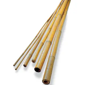 Pali di bambù al miglior prezzo-100% palo di bambù naturale/canna/bastone/palo esportazione ecologica in tutto il mondo dal Vietnam