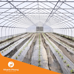 Film de serre avancé pour pépinières, créant des conditions de croissance stables grâce à une diffusion douce de la lumière - Product Image 3