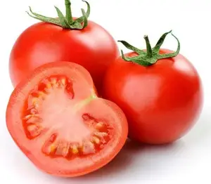 Vente en gros de tomates du VIETNAM pour la pâte de tomates/ketchup tomate-boîte de tomates biologique/poudre de tomates à bas prix