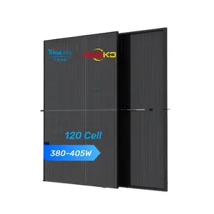 中国Tier 1 Trina Mono太阳能电池板380w-450w，带透明背板和玻璃前盖，用于太阳能系统