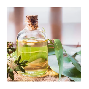 น้ำมันหอมระเหยยูคาลิปตัสธรรมชาติบริสุทธิ์สำหรับการสนับสนุนระบบทางเดินหายใจน้ำมันหอมระเหยบรรเทาอาการปวดกล้ามเนื้อนวดเพิ่มภูมิคุ้มกันผิว - Product Image 5