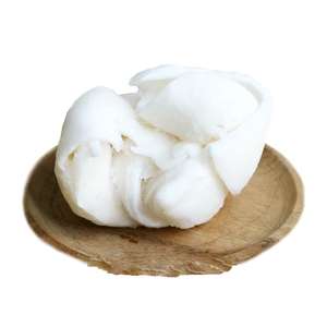 Prix négociable pour la viande de noix de coco congelée du Vietnam - Product Image 1