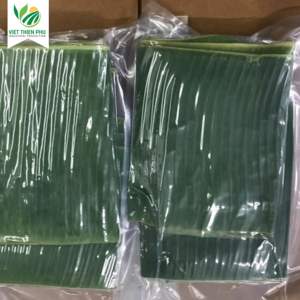 Hoja de Plátano Congelada Orgánica VIET THIEN PHU, Fruta Fresca Económica de Alta Calidad, Estilo Directo de Agricultura Vietnamita para Uso Industrial - Product Image 3