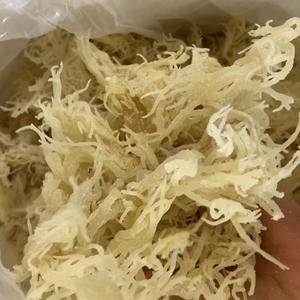 Alga Marina Eucheuma Cottonii Seca 100% Orgánica Precio al por Mayor de Vietnam Anna - Product Image 5