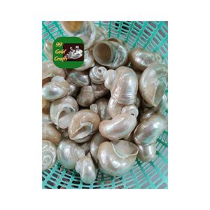 BAGUE DE SERVIETTE EN COQUILLAGE FAIT À LA MAIN AVEC UN DESIGN EN COQUILLE NATURELLE POUR UNE DÉCORATION ÉLÉGANTE DE TABLE À MANGER ET DE BEAUX ARTISANAT CRÉATIFS - Product Image 6