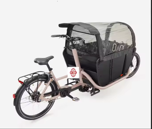 Vélo cargo électrique F900E le plus vendu, qualité industrielle et DIY, avec personnalisation OEM, garantie 3 ans, Autriche, pour usage familial - Product Image 3