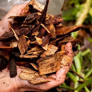 Astillas de madera de pino, astillas de madera de pulpa de eucalipto, leña - Product Image 2