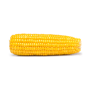 ข้าวโพดเหลืองคุณภาพพรีเมียมราคาพิเศษ มีจำหน่ายสำหรับการสั่งซื้อจำนวนมากและผู้ซื้อขายส่ง - Product Image 1