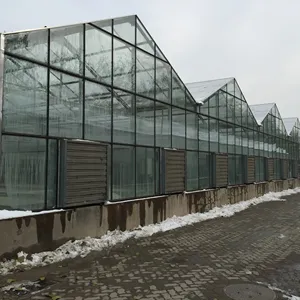 Complete Glass Agricultural Greenhouse Turnkey Project With Hydroponic Growing System