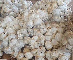 ก้อนถ้วยยางดิบธรรมชาติพร้อม DRC 65%-75% - Product Image 5