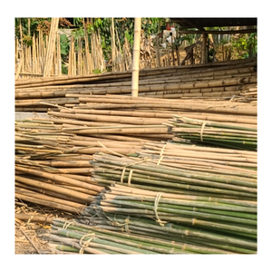 Poteau en bambou: meilleure vente de matériel en bambou/poteau en bambou pour la construction/poteaux en bambou droits bruts d'origine au Vietnam - Product Image 1