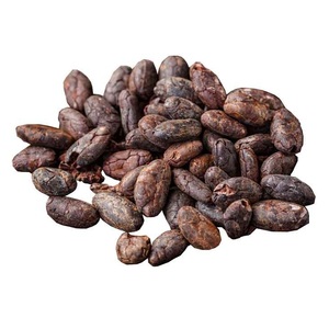 Meilleures fèves de cacao Criollo séchées Fèves de cacao séchées Cacao fermenté séché Fèves de cacao crues séchées Biologique - Product Image 6
