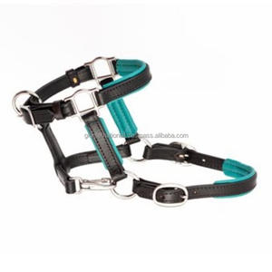 อุปกรณ์เสริมม้าคุณภาพสูงเชือกแขวนคอหนังแท้หนาสองเท่าพร้อมเบาะเทอร์ควอยซ์ระดับพรีเมียมและเย็บเต็มซัง - Product Image 3