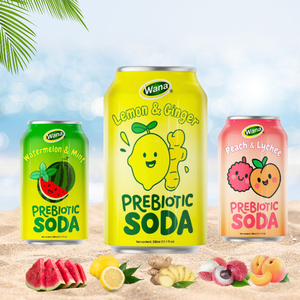 Soda prébiotique au citron et au gingembre en gros, canette 330ml, boisson fonctionnelle, OEM ODM, directement de l'usine, bon prix du Vietnam - Product Image 3