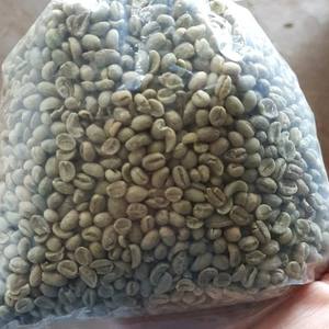 Granos de Café Robusta de Alta Calidad de Vietnam, Tostados y Secados, Envasados en Bolsa de Yute - Product Image 4