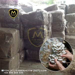 كتل قصب السكر المضغوطة من فيتنام. مثالية لزراعة الفطر وفراش الحيوانات - Product Image 4