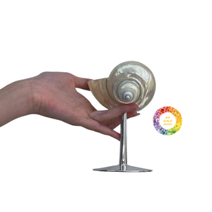 Copa de vino alta hecha a mano, Concha natural, copa de vino, diseño creativo, regalo de bandeja de concha, Copa interesante de decoración de gama alta - Product Image 6